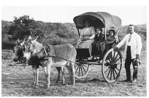 Donkeys in South African history