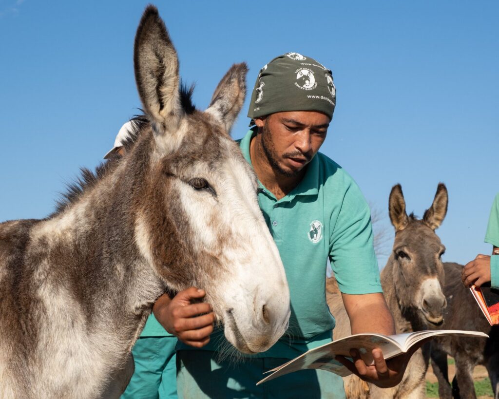 Sanctuary carer reading with donkeys at Eseltjiesrus Donkey Sanctuary, McGregor