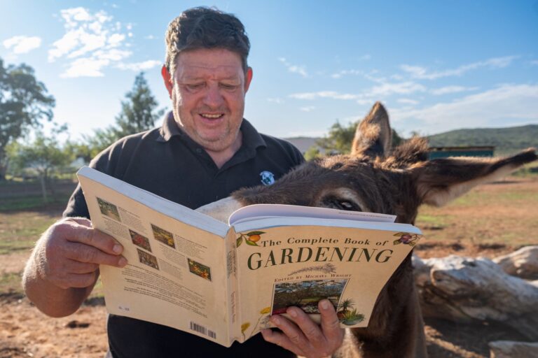 Visitor reading a gardening book with a donkey at Eseltjiesrus Donkey Sanctuary, McGregor