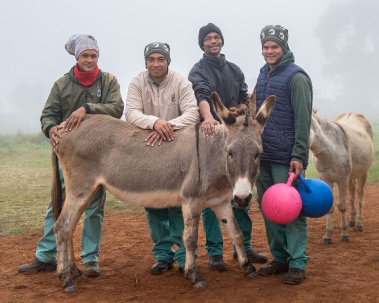 The Eseltjiesrus team with a donkey at Eseltjiesrus Donkey Sanctuary, McGregor